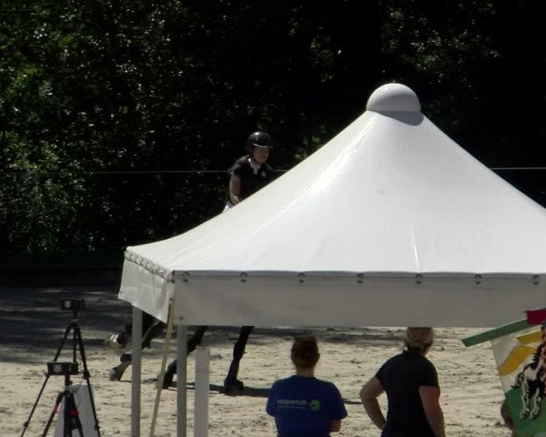 Reitturnier Maienfeld 2022