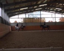 dressage horse Frappuccina (Rhinelander, 2006, from Fashion S)