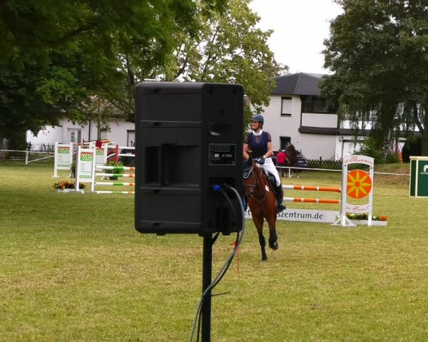 Reitturnier Schwittersdorf-Beesenstedt 2022
