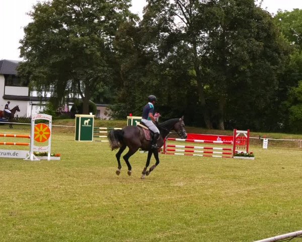 Reitturnier Schwittersdorf-Beesenstedt 2022