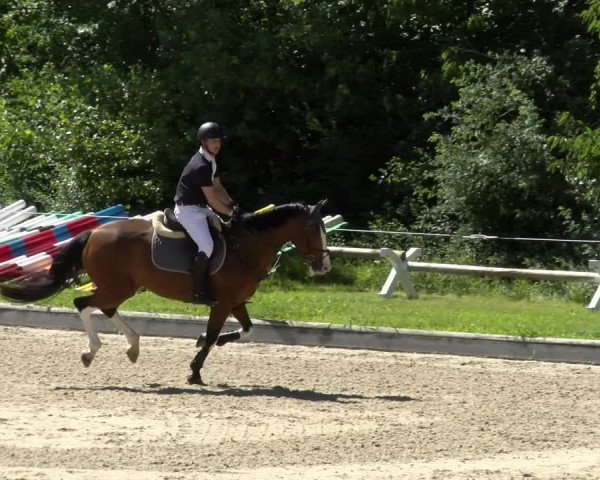 Reitturnier Maienfeld 2022