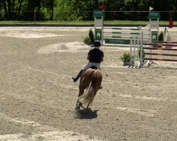 Reitturnier Maienfeld 2022