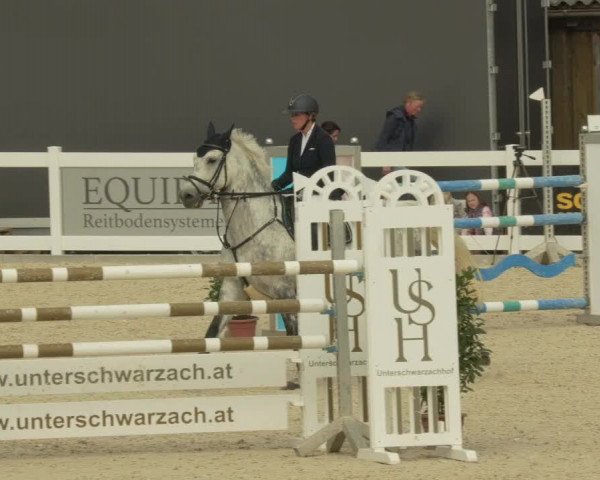 Springturnier Memmingen 2021