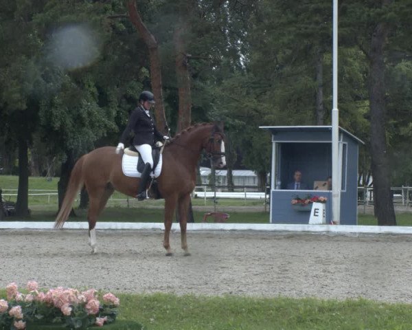 Reitturnier W, Wien-Freudenau/ASKÖ 2022