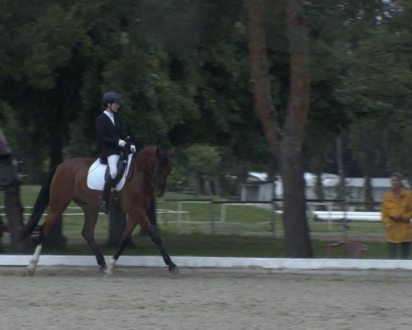 Reitturnier W, Wien-Freudenau/ASKÖ 2022