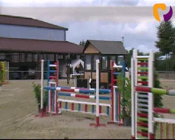 jumper Ecl Fortuna (Westphalian, 2008, from ECL-Follow Me)