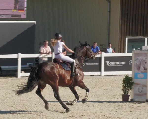 Reitturnier Memmingen/Schw. 2022