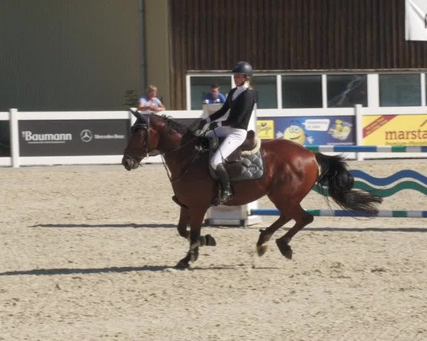 Reitturnier Memmingen/Schw. 2022