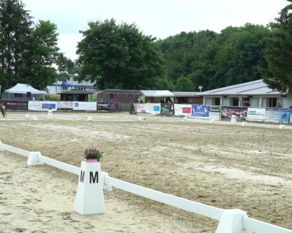 Reitturnier Bad Marienberg - OT Nisterau 2022