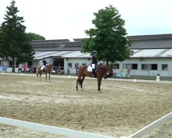 Reitturnier Bad Marienberg - OT Nisterau 2022