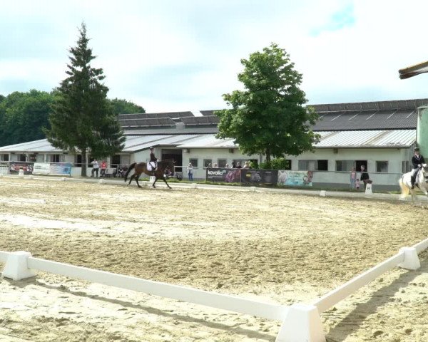 Reitturnier Bad Marienberg - OT Nisterau 2022