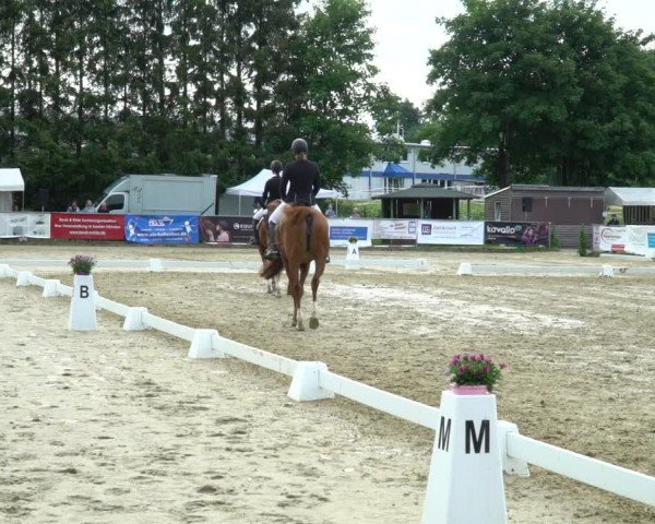 Reitturnier Bad Marienberg - OT Nisterau 2022
