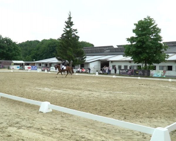 Reitturnier Bad Marienberg - OT Nisterau 2022