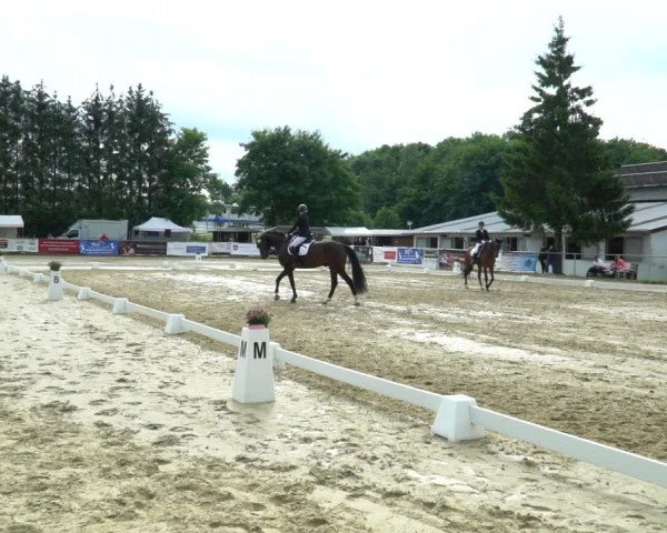 Reitturnier Bad Marienberg - OT Nisterau 2022