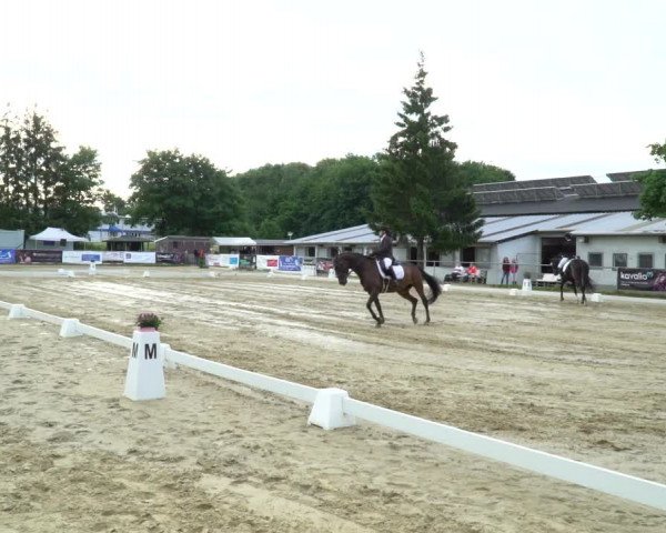 Reitturnier Bad Marienberg - OT Nisterau 2022