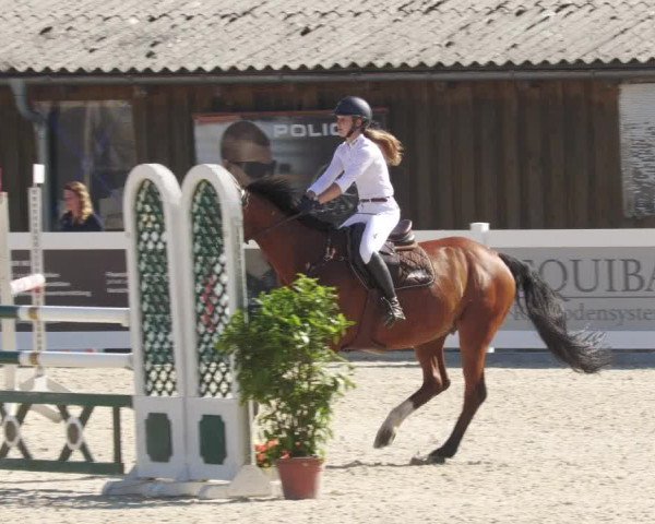 Reitturnier Memmingen/Schw. 2022