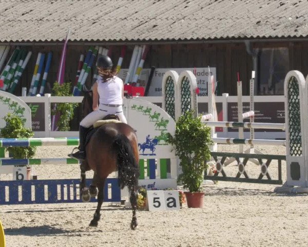 Reitturnier Memmingen/Schw. 2022