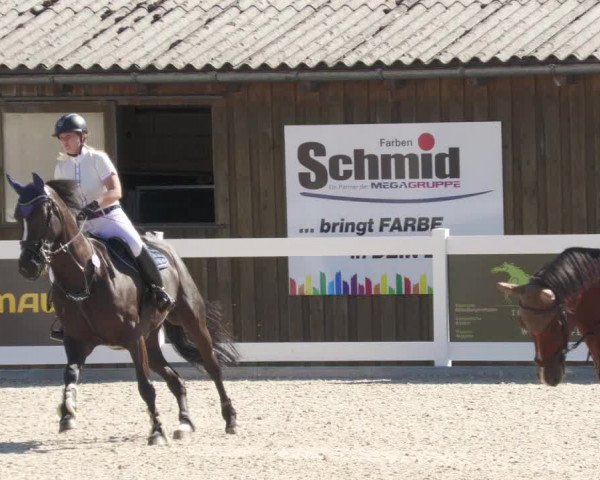 Reitturnier Memmingen/Schw. 2022