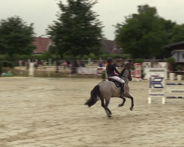 Reitturnier Ascheberg 2022
