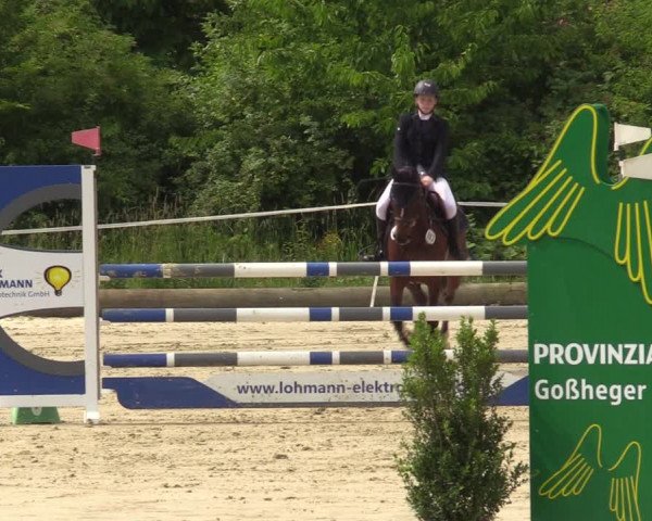 Reitturnier Ascheberg 2022