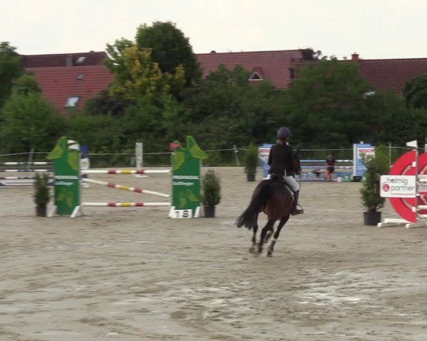 Reitturnier Ascheberg 2022