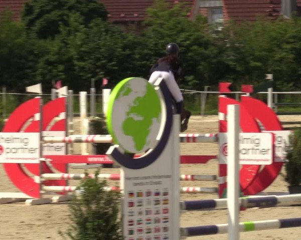 Reitturnier Ascheberg 2022