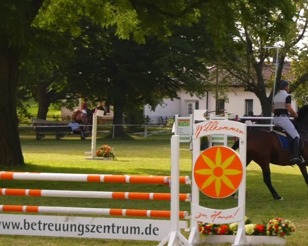 Reitturnier Schwittersdorf-Beesenstedt 2022