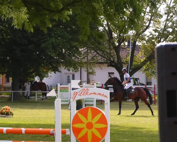 Reitturnier Schwittersdorf-Beesenstedt 2022