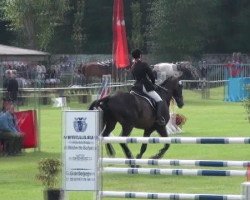 jumper Sir Leeroy Brown (Saxony-Anhaltiner, 2001, from Lohberg)