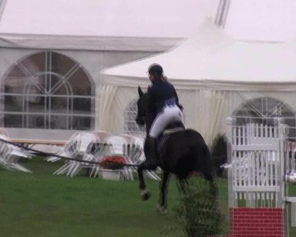 jumper Fordalme G (Hanoverian, 2006, from Forrester)