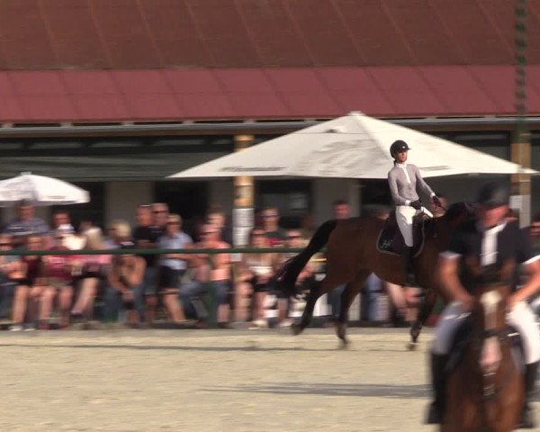 Reitturnier Immenrode 2022