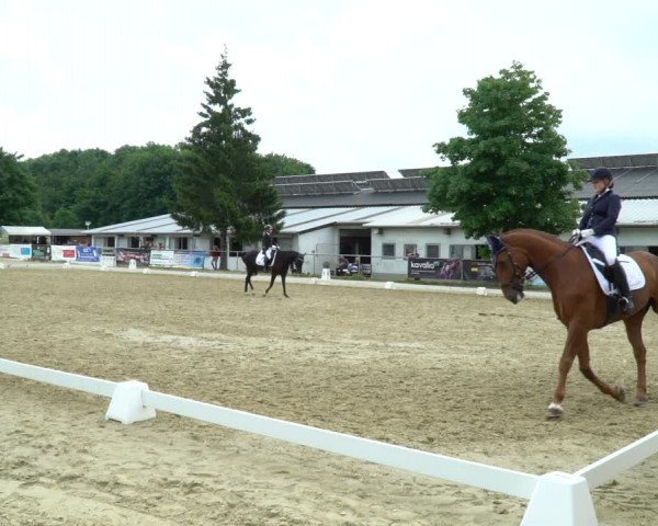 Reitturnier Bad Marienberg - OT Nisterau 2022