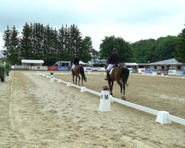 Reitturnier Bad Marienberg - OT Nisterau 2022