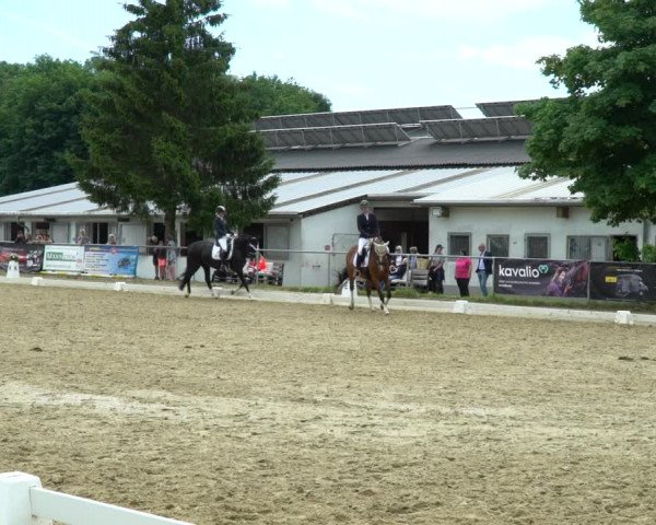 Reitturnier Bad Marienberg - OT Nisterau 2022