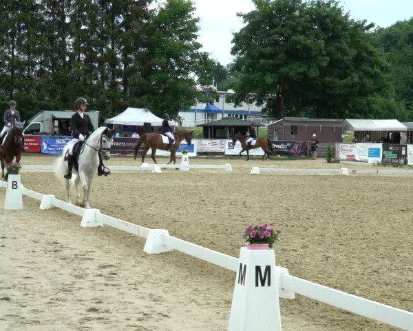 Reitturnier Bad Marienberg - OT Nisterau 2022