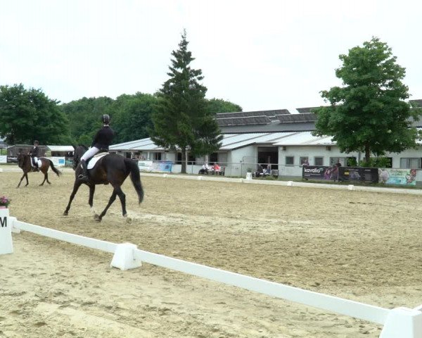 Reitturnier Bad Marienberg - OT Nisterau 2022