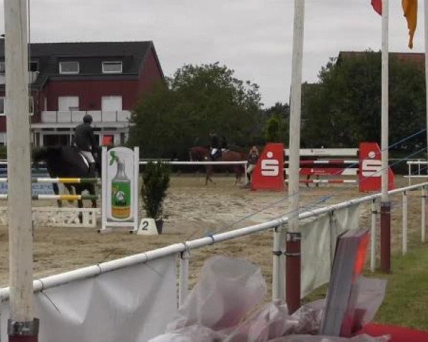jumper Cronos 12 (Westphalian, 2000, from Charisma)
