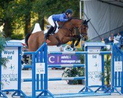 jumper Ultimo (KWPN (Royal Dutch Sporthorse), 2001, from Heartbreaker)