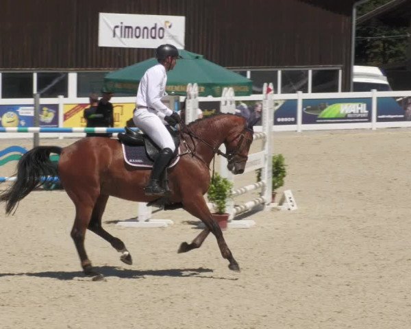 Reitturnier Memmingen/Schw. 2022