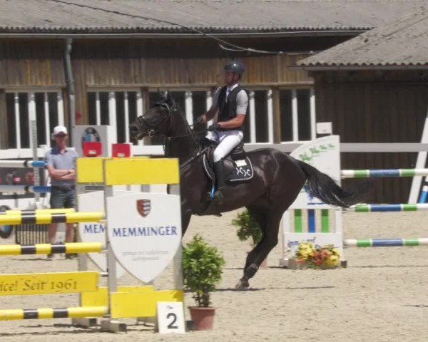 Reitturnier Memmingen/Schw. 2022