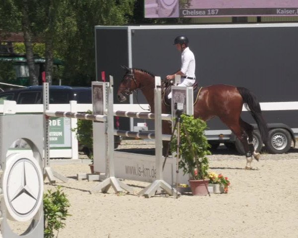 Reitturnier Memmingen/Schw. 2022