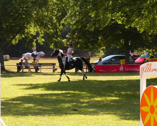 Reitturnier Schwittersdorf-Beesenstedt 2022