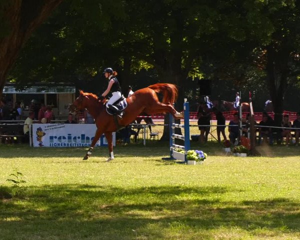 Reitturnier Schwittersdorf-Beesenstedt 2022