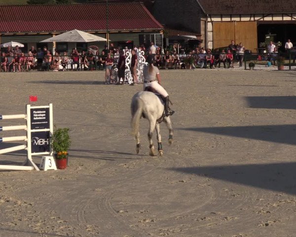 Reitturnier Immenrode 2022