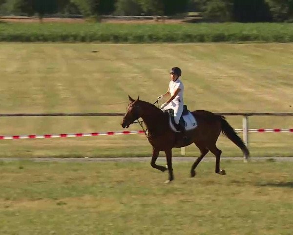 Reitturnier Bad Windsheim/Mfr. 2022