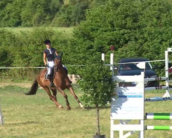 Reitturnier Bad Windsheim/Mfr. 2022
