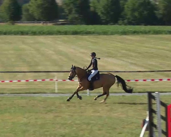 Reitturnier Bad Windsheim/Mfr. 2022