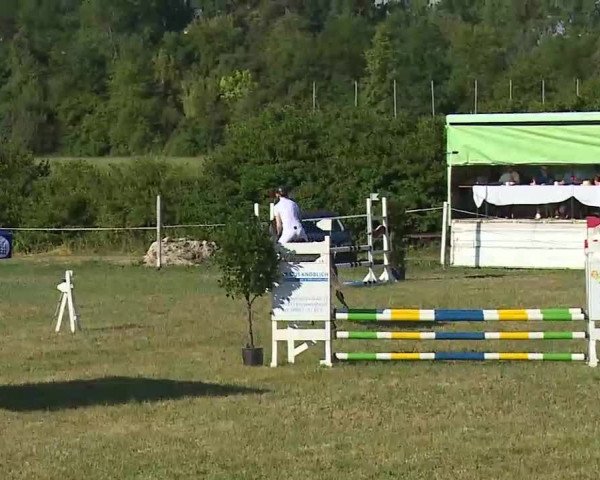 Reitturnier Bad Windsheim/Mfr. 2022