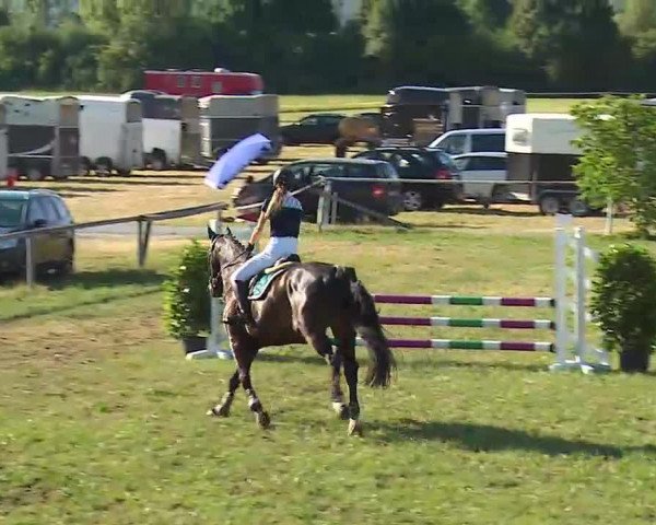 Reitturnier Bad Windsheim/Mfr. 2022