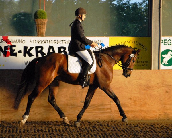 horse Ruzzle Duzzle (Westphalian, 2007, from Riccione)